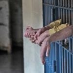 Dois em cada três presídios brasileiros operam acima da capacidade, aponta CNJ