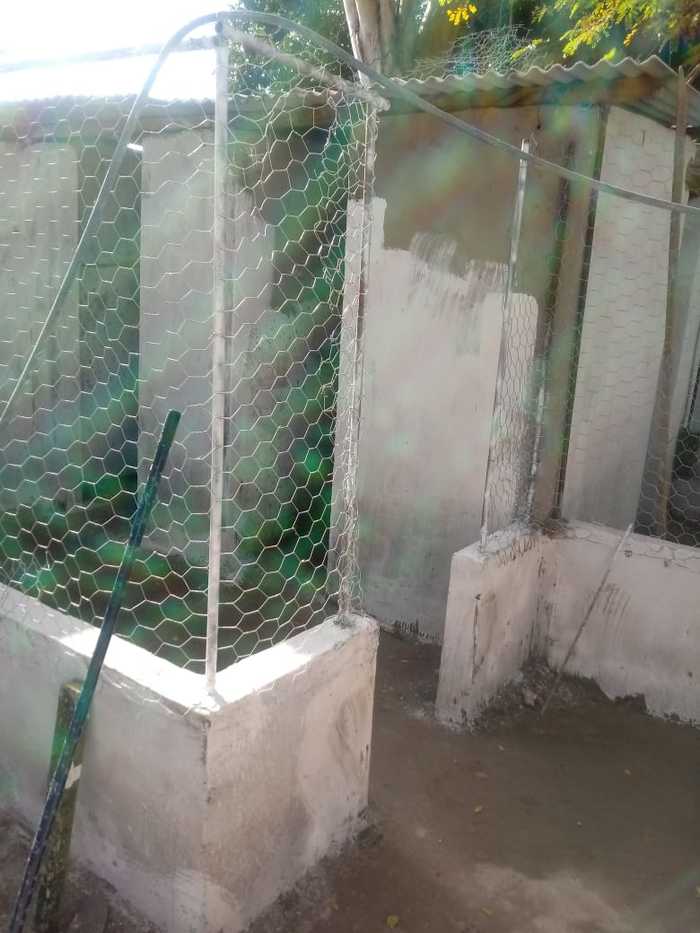 WhatsApp Image 2018-07-11 at 21.09.07