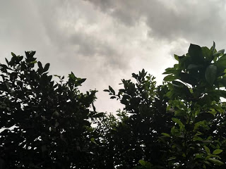 Meteorologista do Inema diz que ‘alerta máximo de chuvas’ pode não se confirmar