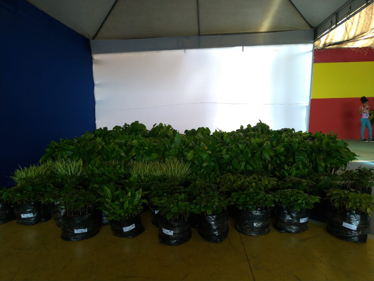Jiquiriçá (2)