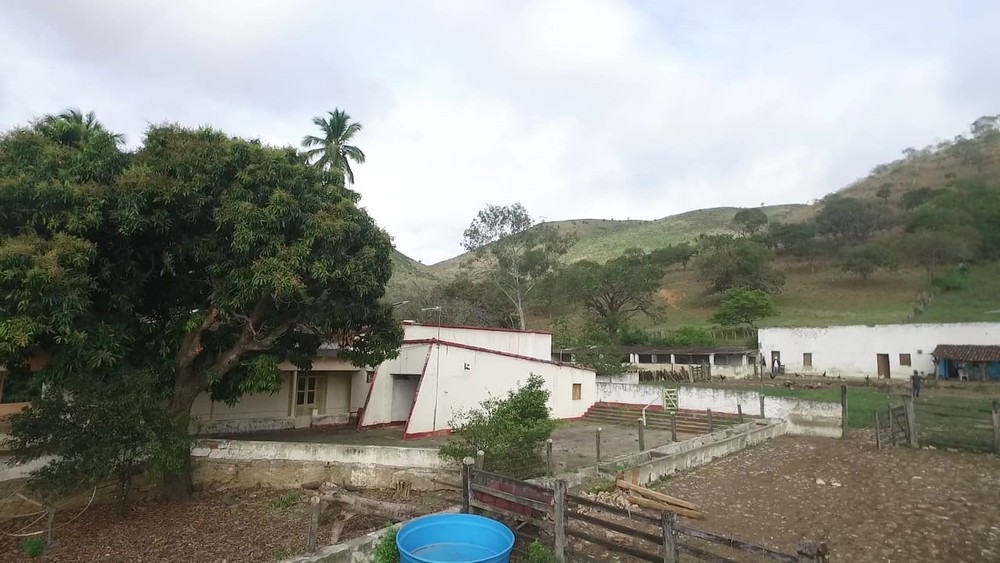 fazenda-ribeirao