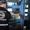 Adab divulga edital de processo seletivo com mais de 180 vagas para Amargosa, Cruz das Almas e outras cidades; confira