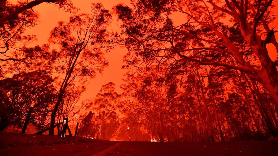 Brasileiros relatam tensão com incêndios na Austrália