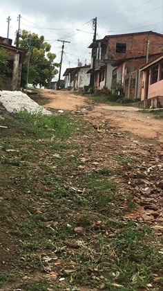 rua7