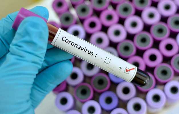 Cientistas do Brasil e de Oxford sequenciam genoma do novo coronavírus detectado em SP