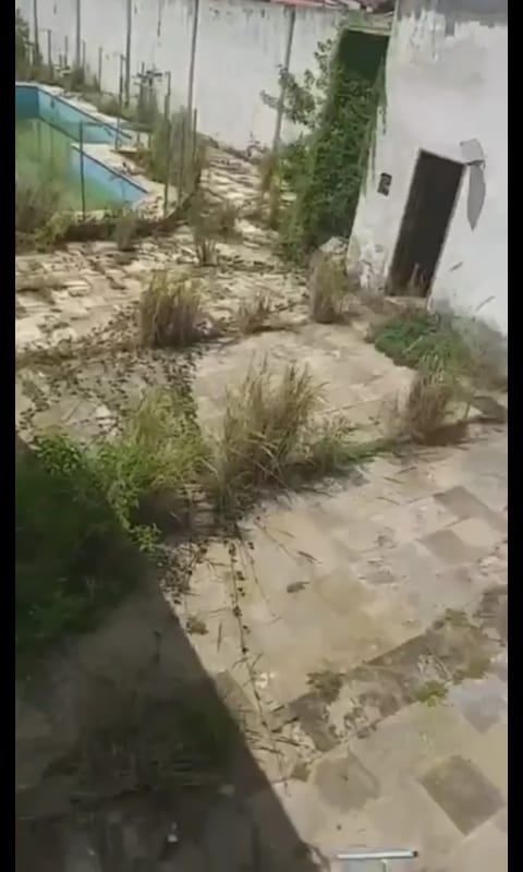 foco dengue saj 3