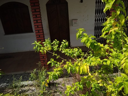 casa4
