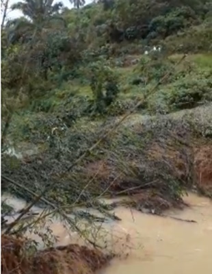 palma3