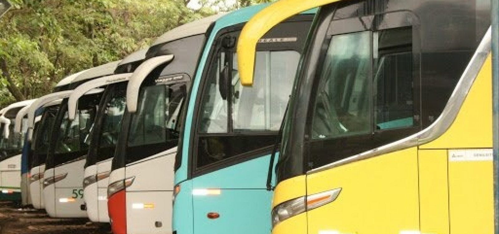 Mais seis municípios têm transporte suspenso na Bahia; total chega a 304