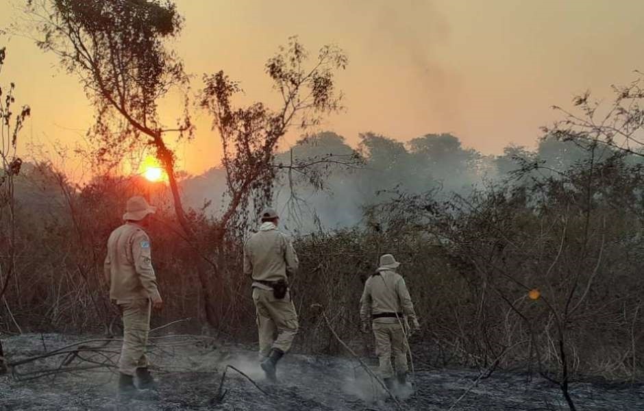 Focos de incêndio voltam a atingir o Pantanal