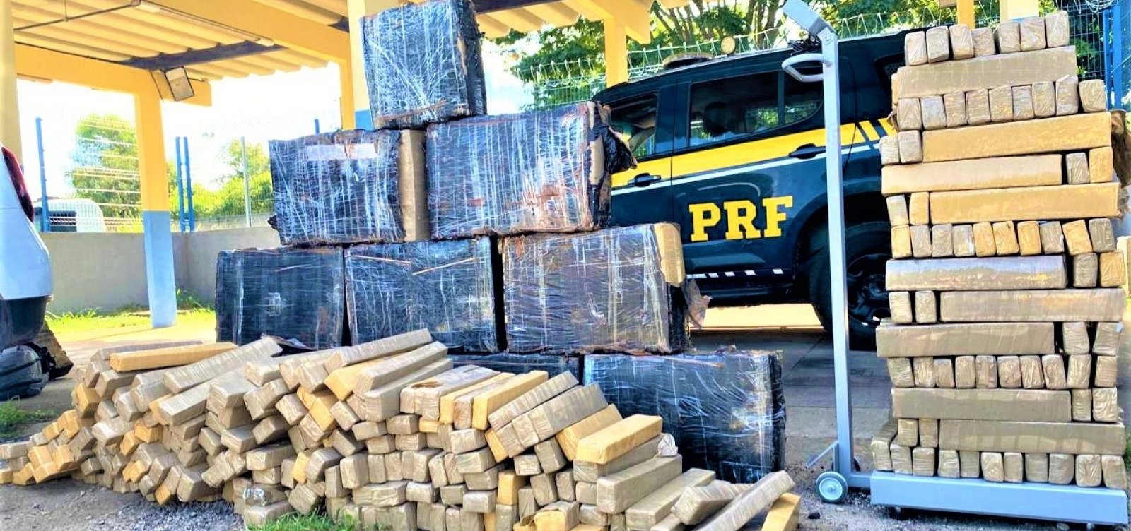 PRF registra aumento de 52% nas apreensões de maconha