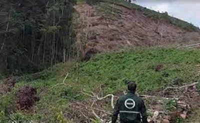 Inema detecta desmatamento em área equivalente a 590 campos de futebol no interior da Bahia