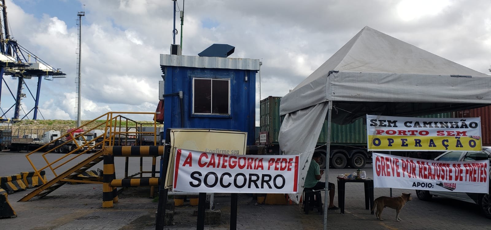 manifestação dos caminhoneiros na Bahia tem apenas placas e não há retenção nas estradas