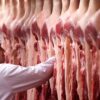 Exportações de carne bovina do Brasil batem recorde no primeiro semestre de 2026