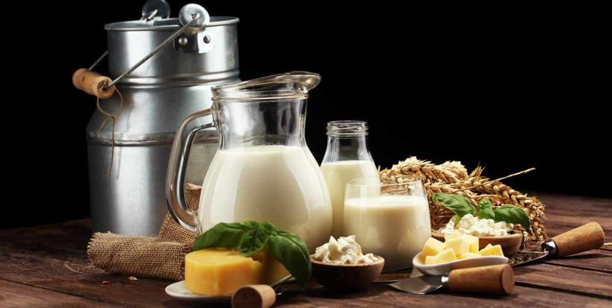 Produção de leite na Bahia cai 15,9% frente ao 2º trimestre