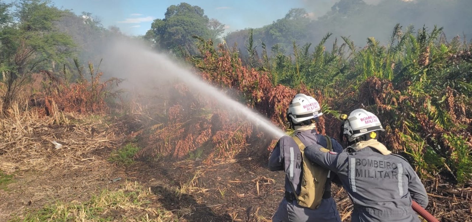 Paulo Afonso: Bombeiros apagam incêndio em área da caatinga após moradores atearem fogo em madeira