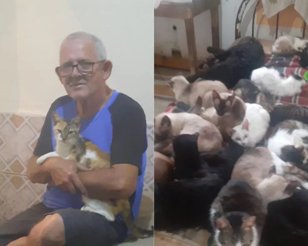 Por amor, padeiro concilia 5 empregos para sustentar 70 gatos resgatados