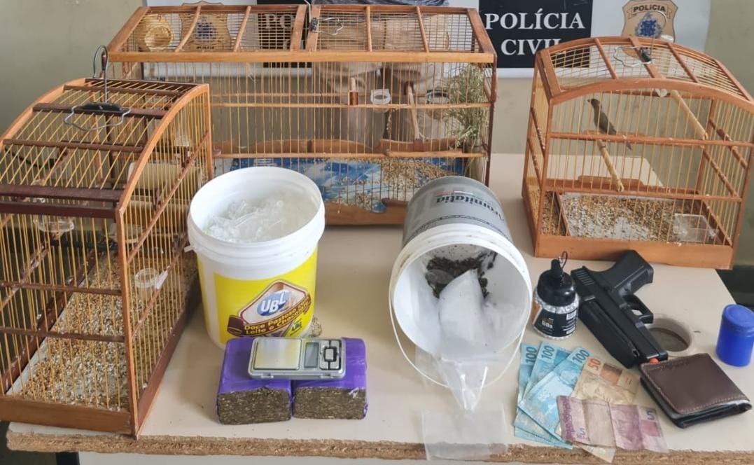 SAJ: suspeito de homicídio no Alto Sobradinho é preso e polícia encontra arma, simulacro de pistola, drogas e pássaros silvestres escondidos em casa
