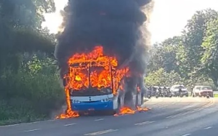 Ônibus pega fogo na BR- 415, rodovia Ilhéus-Itabuna