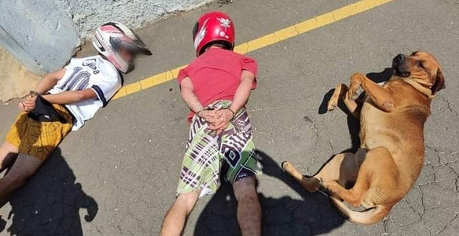 Cachorro caramelo deita ao lado de suspeitos durante abordagem policial; foto viraliza
