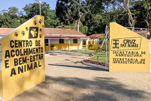 Cruz das Almas inaugura centro de acolhimento para cães de rua