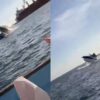 Baleia gigante salta e cai em cima de barco com turistas no México