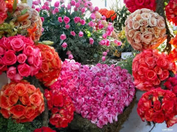 Dia das Mães: preços das flores este ano estão até 400% mais altos