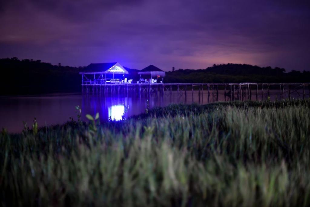 IMG-20220603-WA0012
