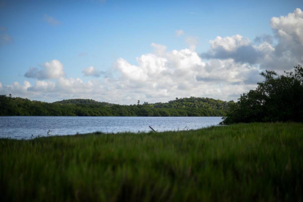 IMG-20220603-WA0018