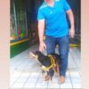 Jairo do Brasil Esportes procura por tutor de cachorro encontrado no centro de SAJ