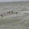 Canoa quebra após bater em pedras durante competição na Ilha de Itaparica