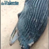 Baleia jubarte é encontrada morta em praia de Lauro de Freitas