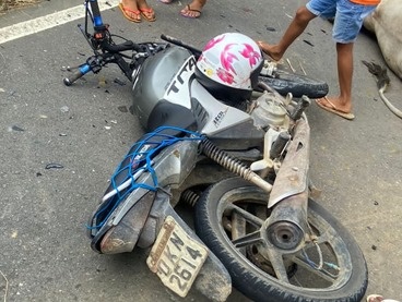 A motocicleta colidiu com um boi solto