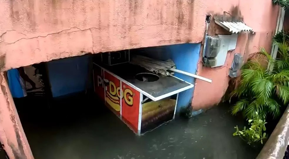 salvador