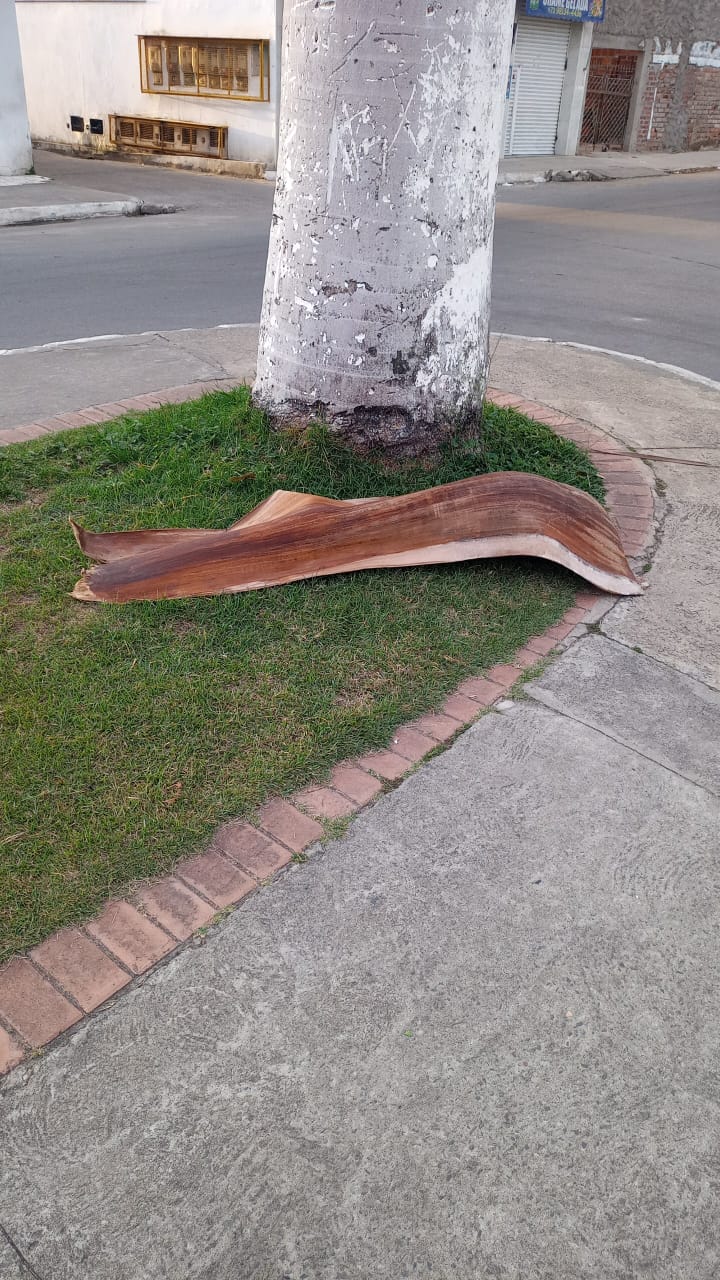IMG-20240122-WA0138