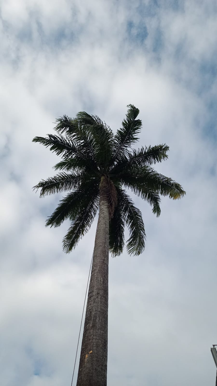 IMG-20240122-WA0155