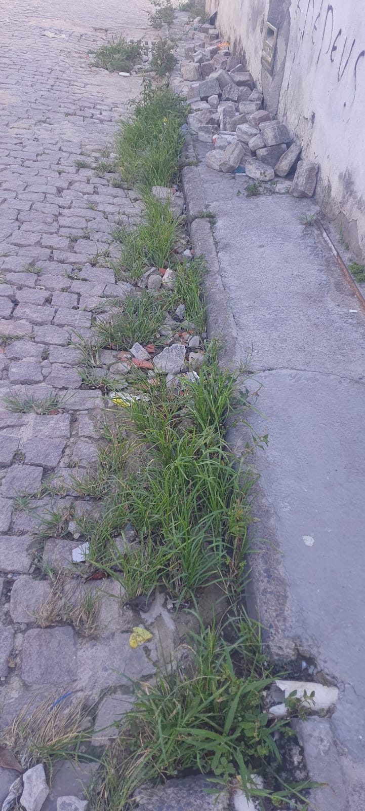 WhatsApp Image 2024-02-25 at 17.14.50 (1)