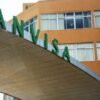 Anvisa suspende suplemento alimentar e recolhe lotes de creatina por irregularidades