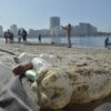 Brasil lança por ano 1,3 milhão de toneladas de plástico no oceano