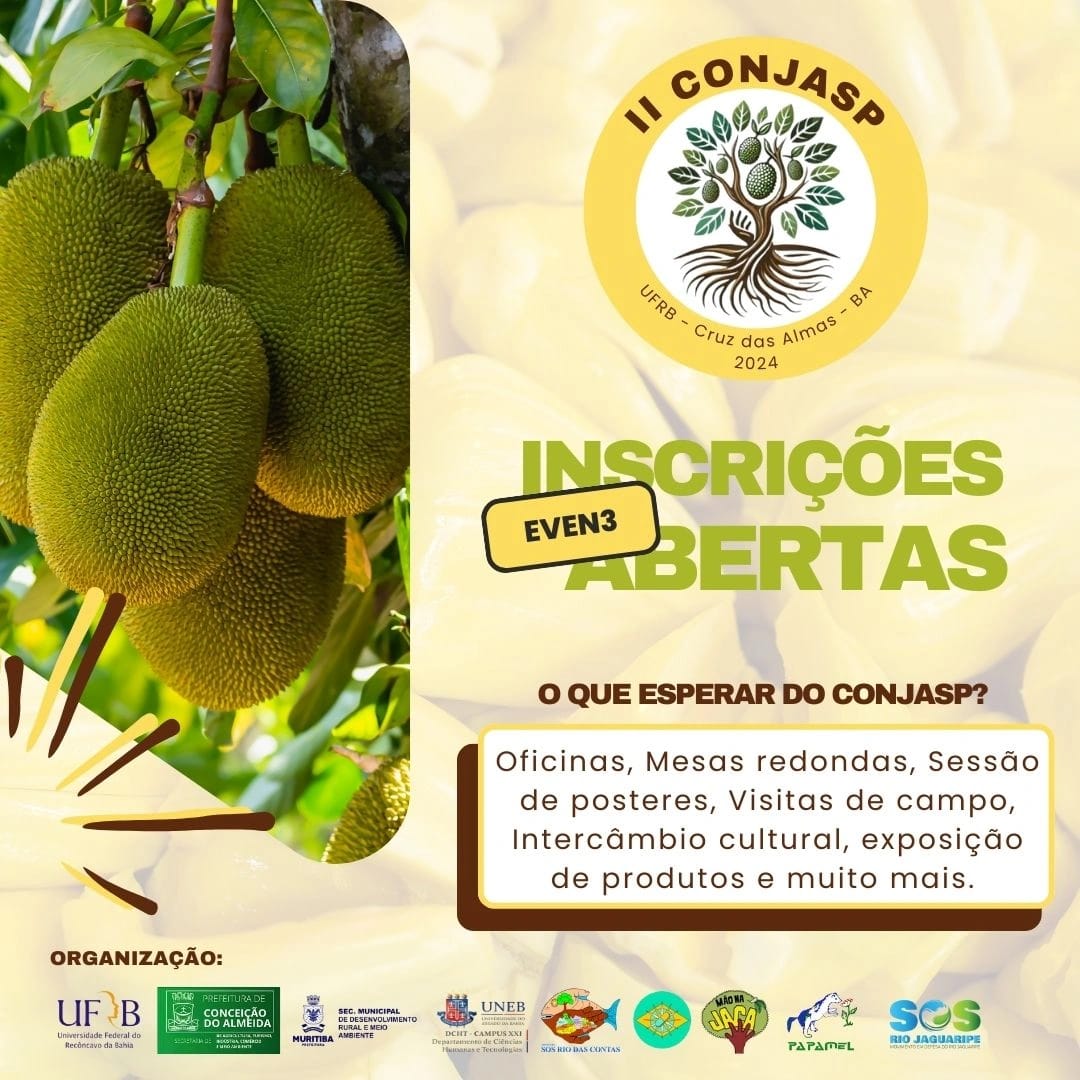 Imagem do WhatsApp de 2024-11-23 à(s) 06.49.17_1c43822e
