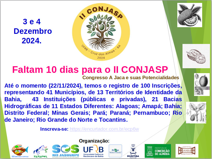 Imagem do WhatsApp de 2024-11-23 à(s) 06.49.17_70ed15d7