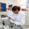 CETEP Recôncavo abre inscrições para cursos técnicos gratuitos em Santo Antônio de Jesus