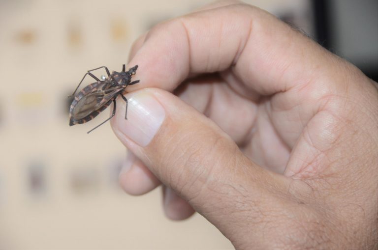 Homem segura um barbeiro na mão