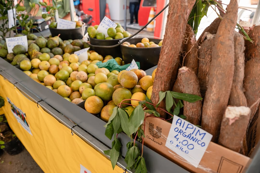 Feira de Caxixis - Nazaré