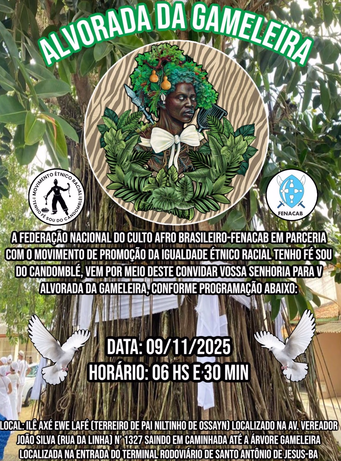 imagem 2