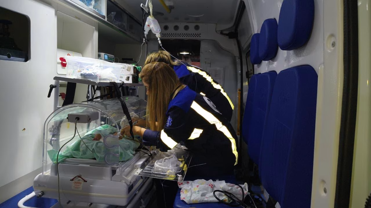 WhatsApp Image 2026-02-15 at 14.20.30
