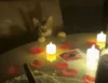 Mulher prepara jantar romântico para o marido, mas gato rouba a cena e viraliza