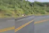 Colisão frontal na BR-101 envolve dois carros e deixa vítimas na região da Pedra do Cavalo