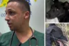 Cachorro agredido em Varzedo apresenta melhora, mas segue sob cuidados intensivos, diz veterinário