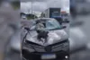 Homem morre atropelado na BR-324 após se jogar de passarela em Salvador